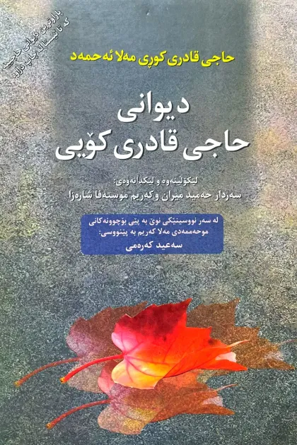 جلد کتاب دیوانی حاجی قادری کویی
