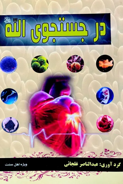 جلد کتاب در جستجوی الله «جل جلاله»
