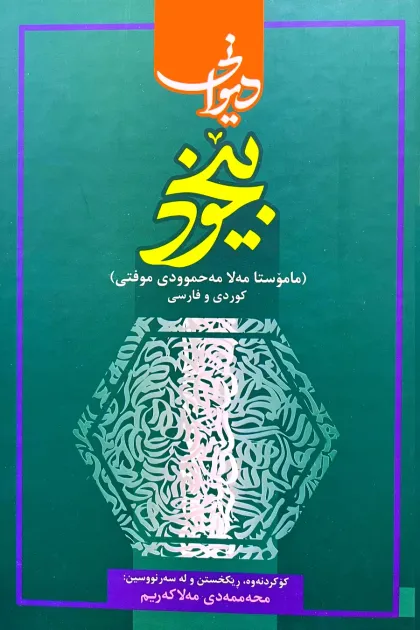 جلد کتاب دیوانی بیخود