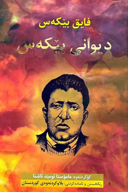 جلد کتاب دیوانی بیکهس «فایق بیکهس»