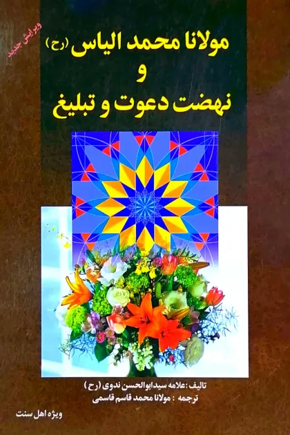 جلد کتاب مولانا محمد الیاس و نهضت دعوت و تبلیغ